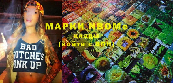 ешки Новодвинск