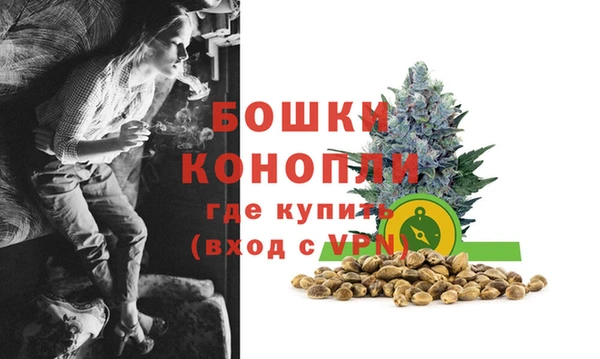 ешки Новодвинск