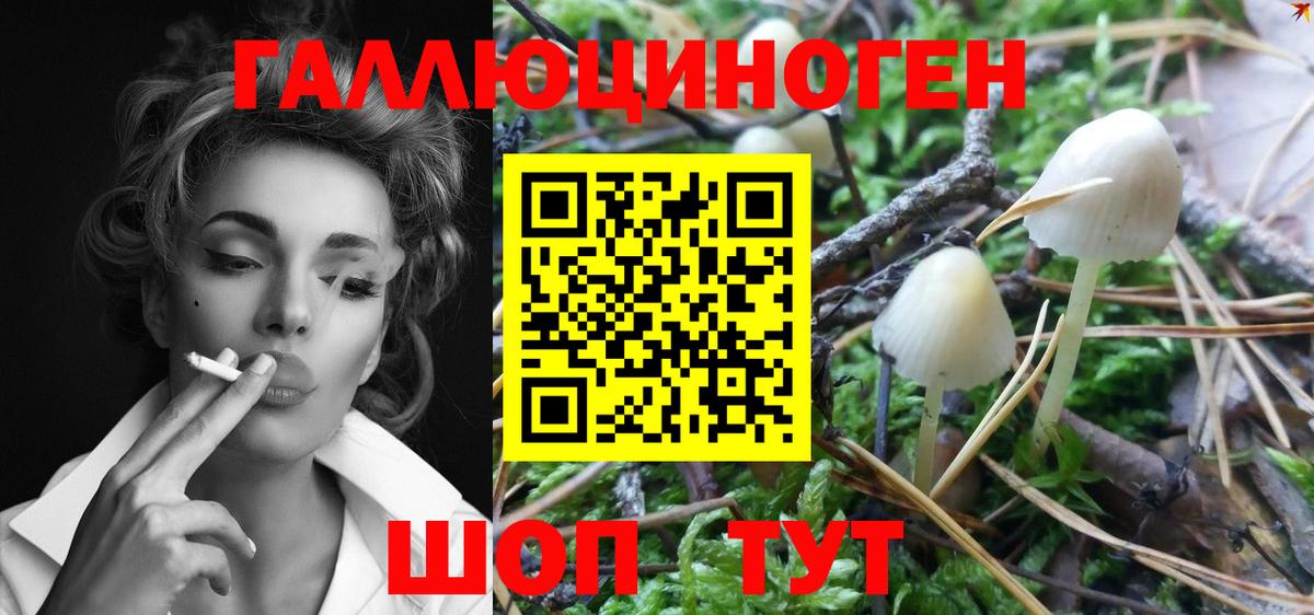 Галлюциногенные грибы GOLDEN TEACHER Нягань