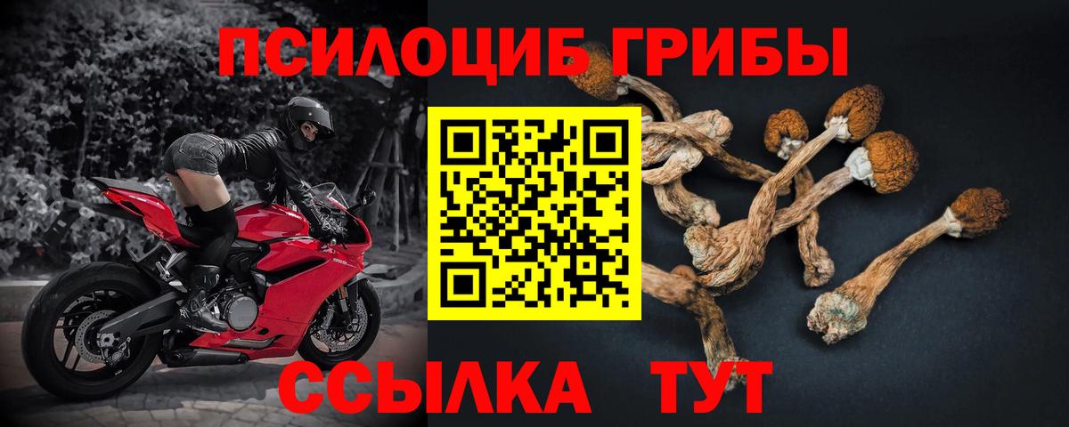 Нягань  Галлюциногенные грибы MAGIC MUSHROOMS  Вход с VPN 